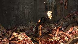 Tomb Raider 2013 6K Screen shot